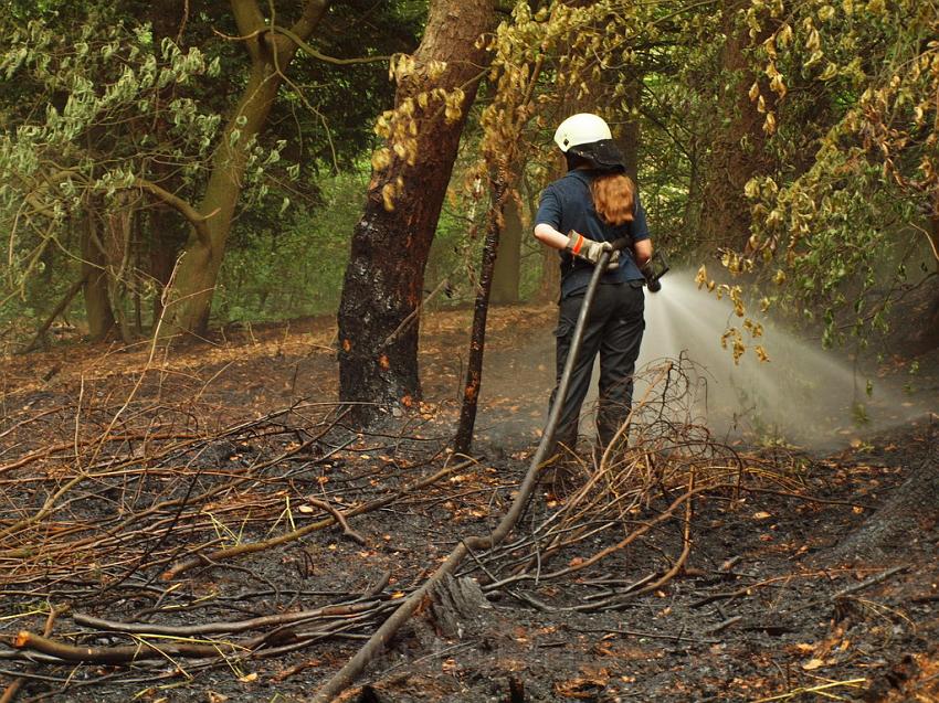 Waldbrand Bergisch Gladbach Bensberg P180.JPG